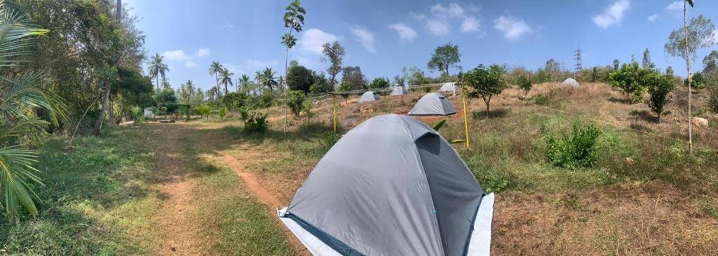 Wilderness Jungle Camp Hotel Malavalli Bagian luar foto
