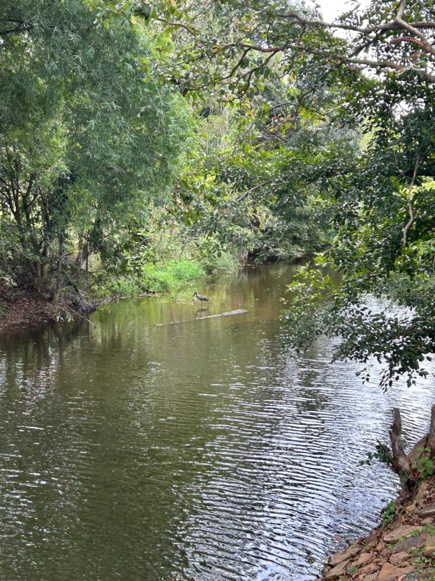 Wilderness Jungle Camp Hotel Malavalli Bagian luar foto