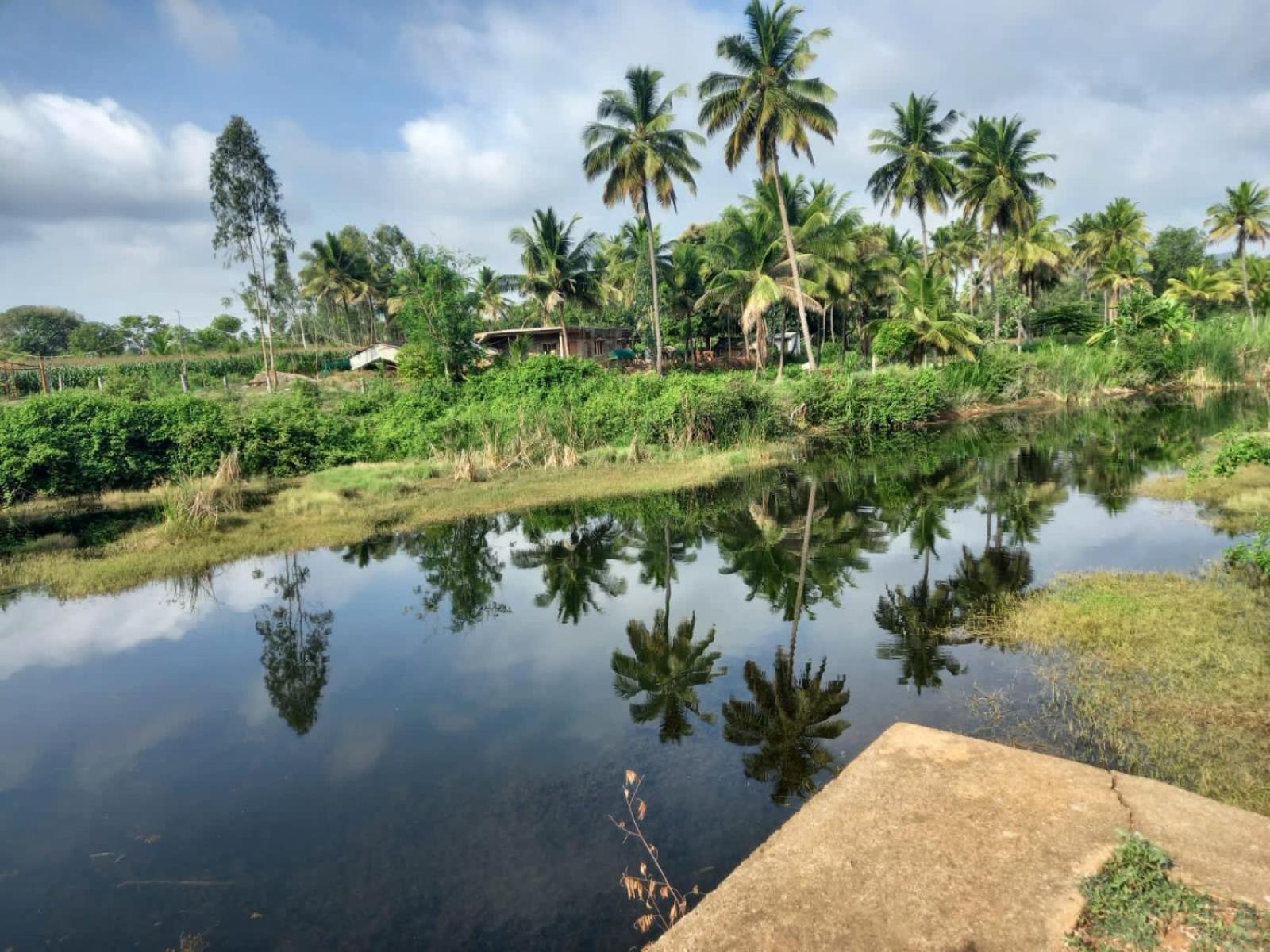 Wilderness Jungle Camp Hotel Malavalli Bagian luar foto